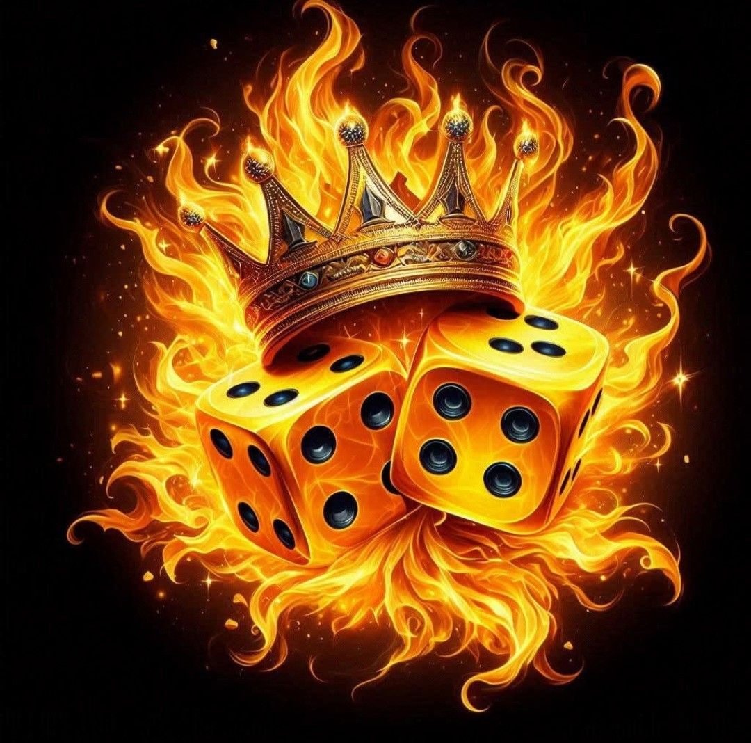 3333 bet app