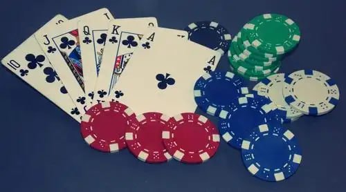 3333 bet app