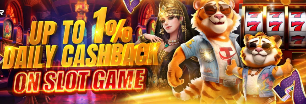 3333 bet app