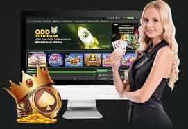 3333 bet app